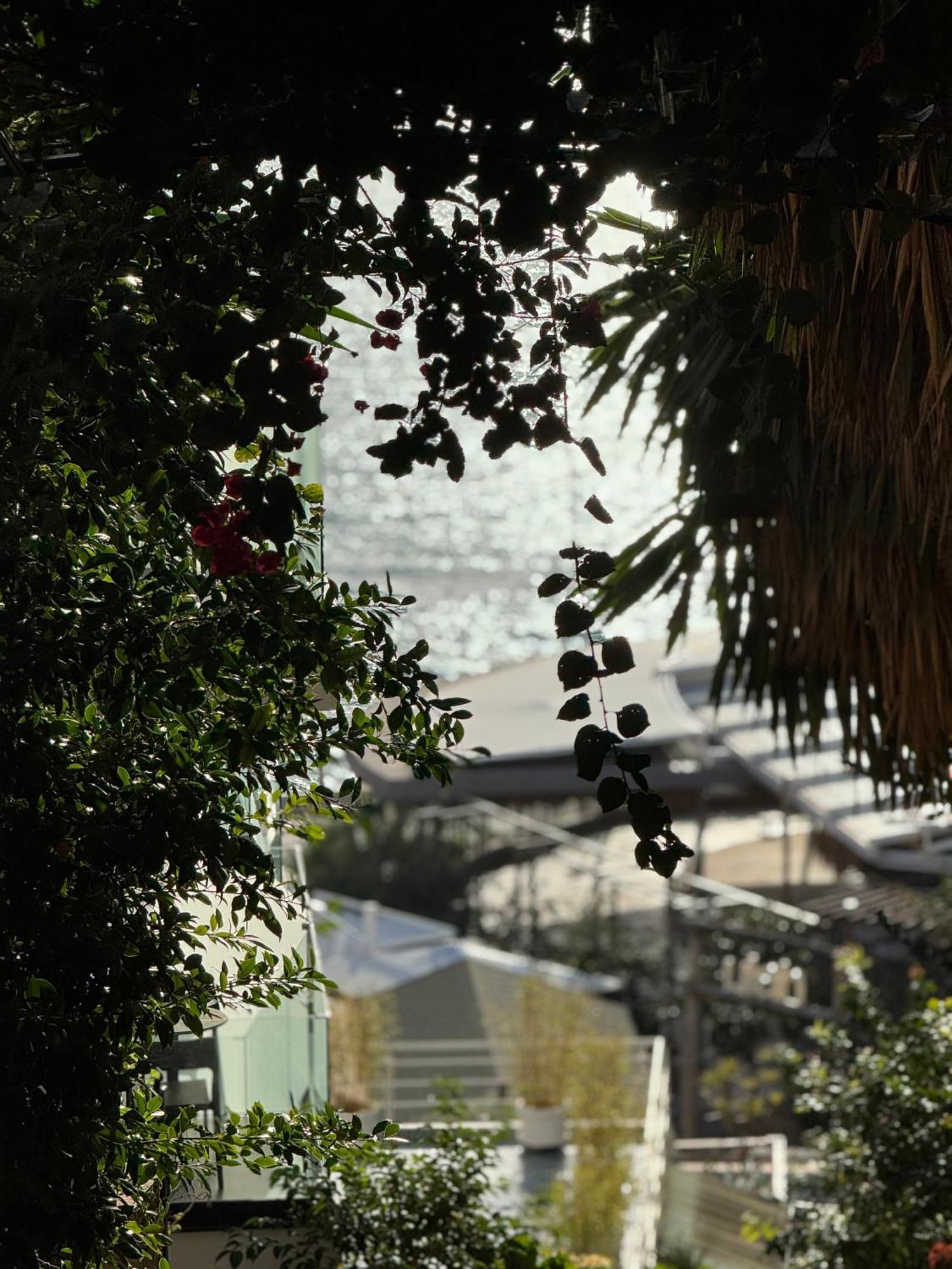 Kleo Seaside Apartman